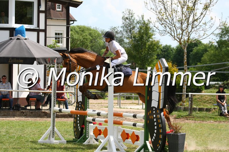 105M0606_Ludwig der Bayer_Spring_A.JPG